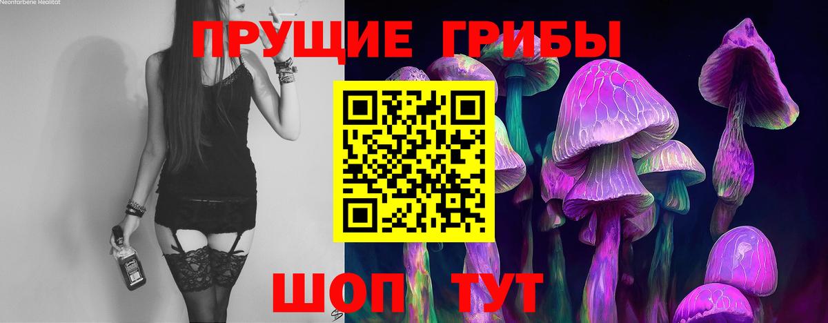 Тайшет  Галлюциногенные грибы MAGIC MUSHROOMS  Вход с VPN 