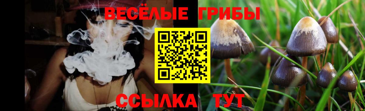 Галлюциногенные грибы Psilocybine cubensis Тайшет